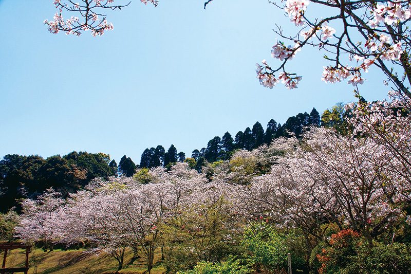 竹香園